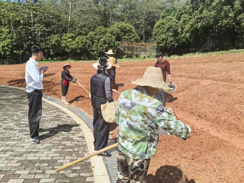 种下格桑花，扮靓校园夏